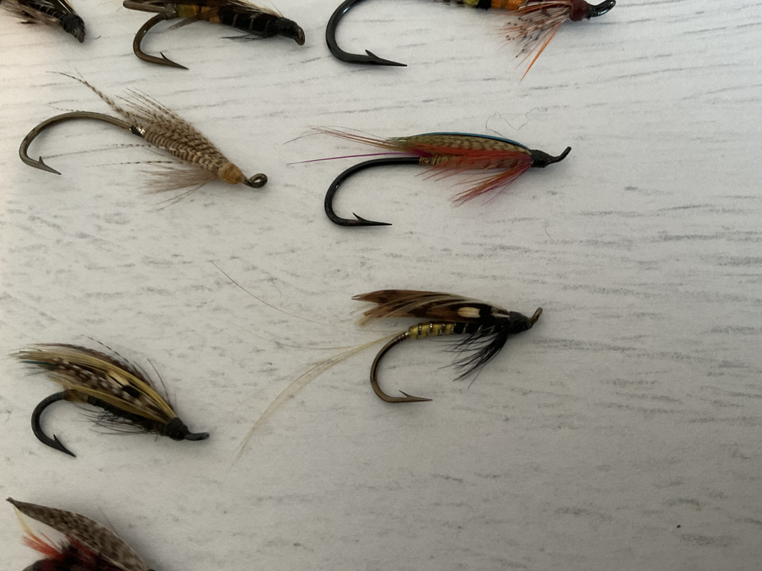 81DAD8B3-F899-42C7-A318-72270FB3C11D