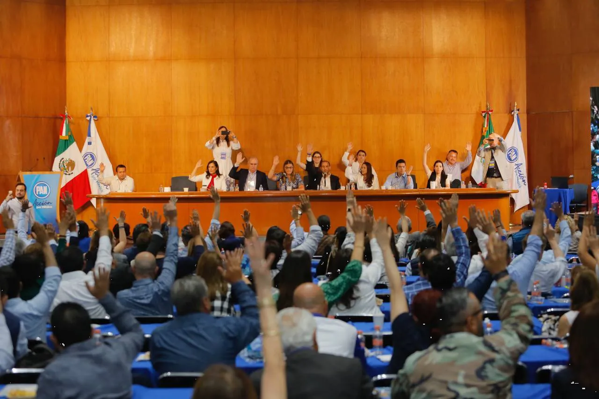 Firmas y elección primaria, así definirá la oposición a su candidato presidencial