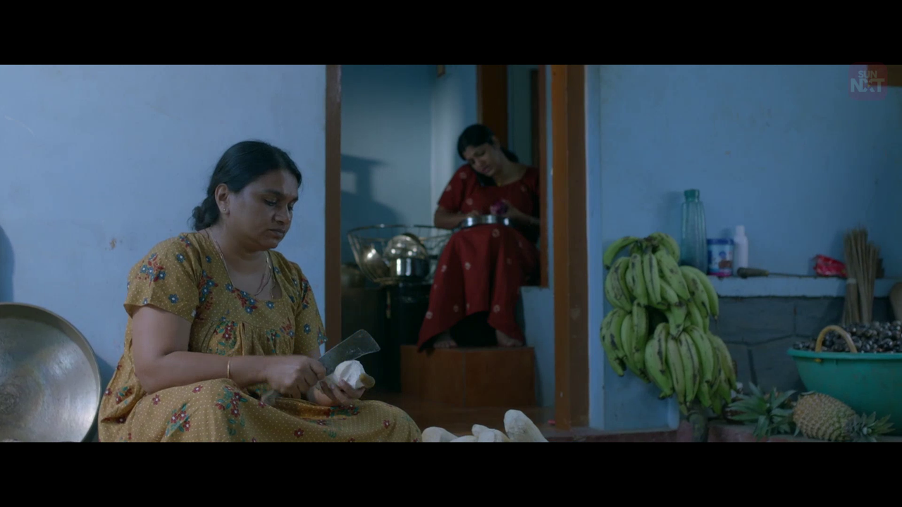 vlcsnap 2026 02 11 15h40m11s180