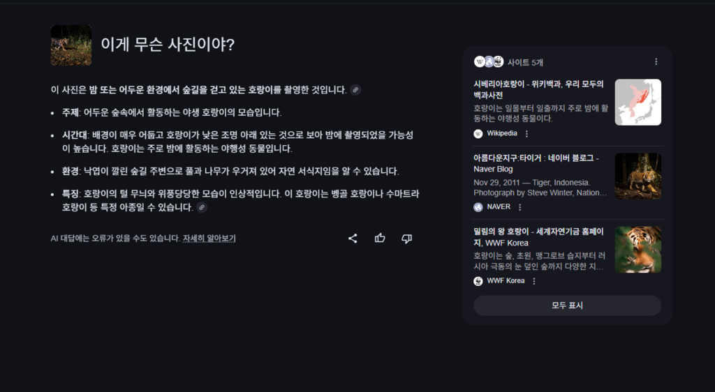 호랑이 사진 분석 결과