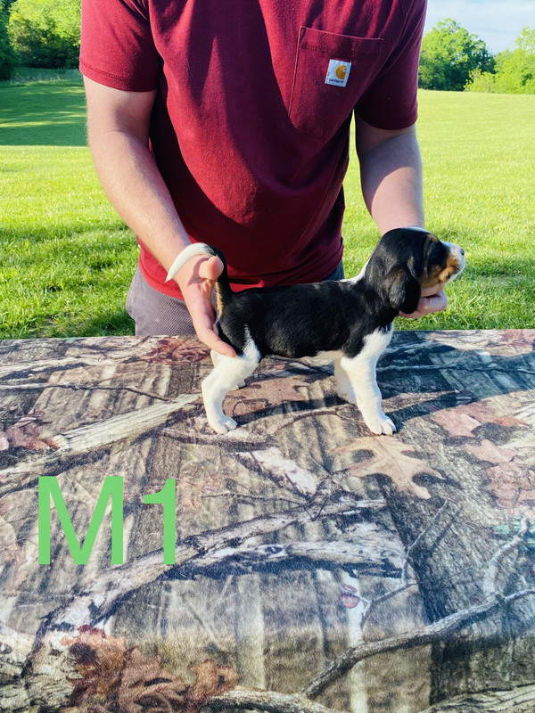 F4319999-BC99-4522-B7D2-2308CF0663D5