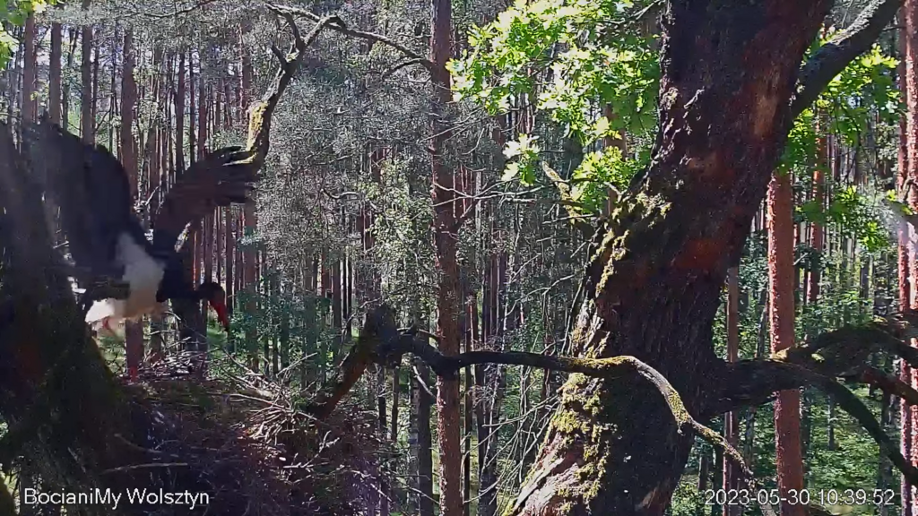 Zrzut ekranu (15820)