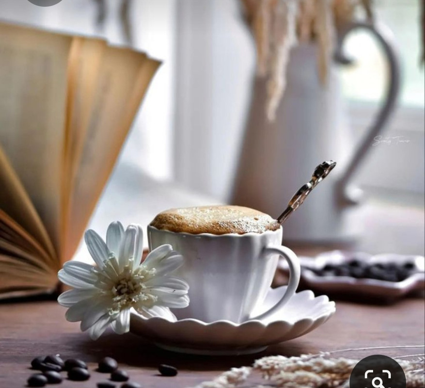 Screenshot_20230930_191215_Pinterest