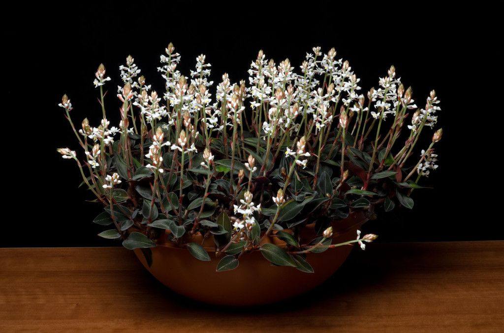 419289264_10228060597397626_2871094693109041546_n