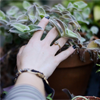 Plants-A-5