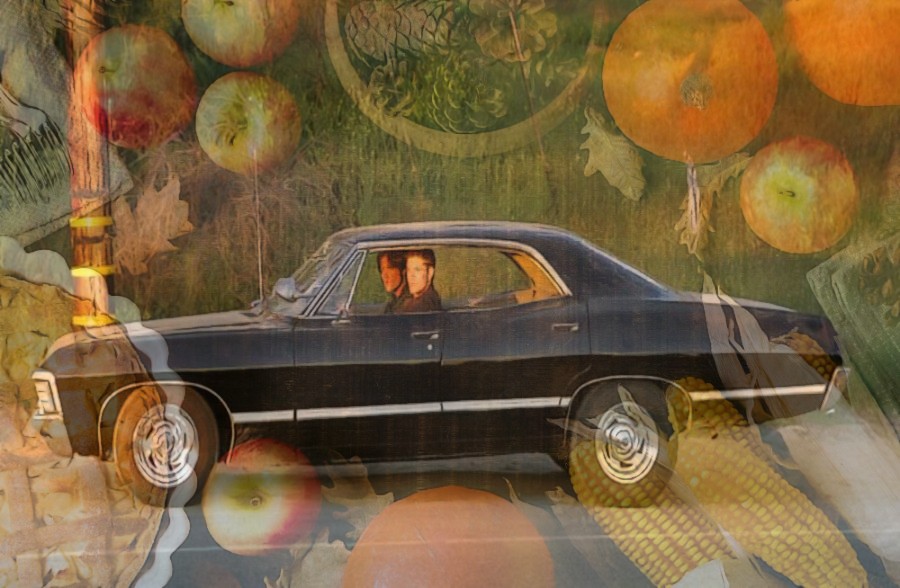 photomania-4570f747b22e33387896299a20787281