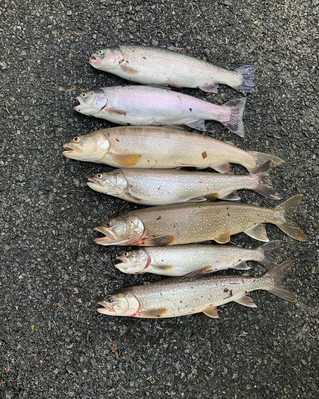 528A6AB0-DA43-49F4-9CA0-46C46D610C56