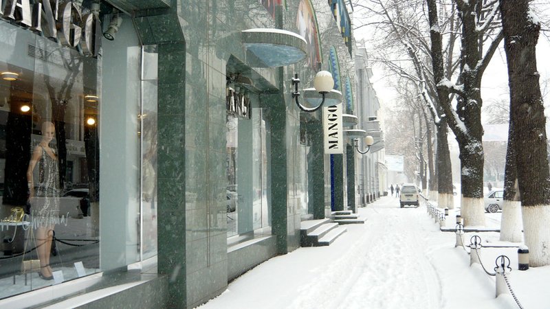 8310091243-71c39204a4-b