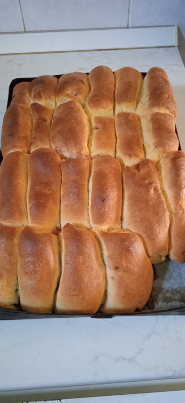 IMG_20240423_114846[1]