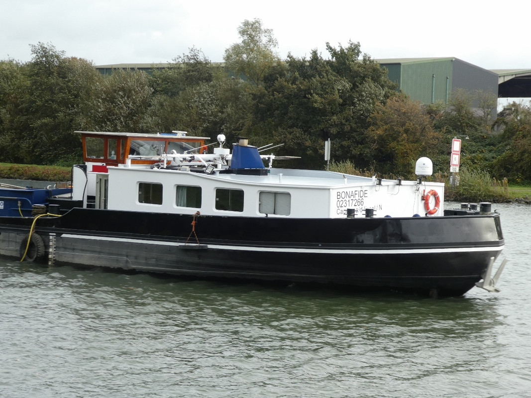 2020.10.29d Bonafide (1280x960)