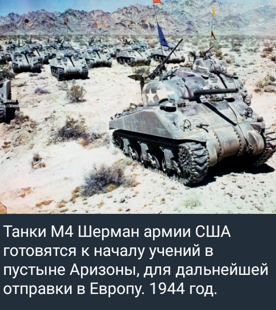 https://i.postimg.cc/CMvw3tSV/photo-2026-08-23-00-40-49.jpg