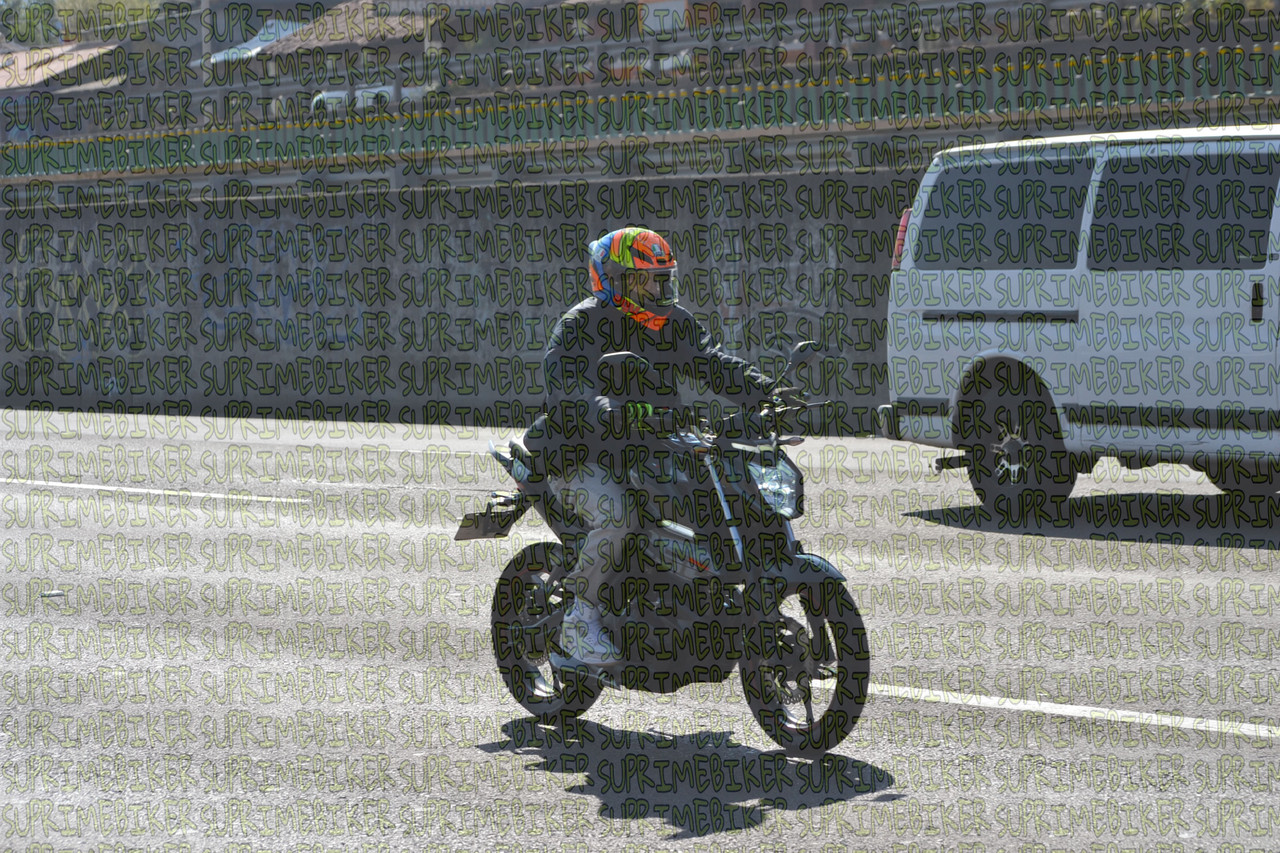 DSC 0951