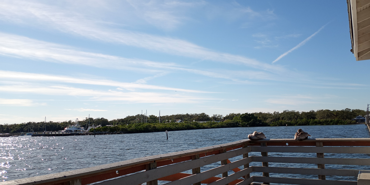 [Image: Ballast-Point-Park-Tampa-FL6.png]