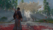 Ghost of Tsushima Screenshot 2026 01 25 17 51 22