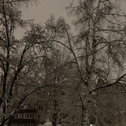 IMG-8594.jpg