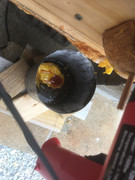 CDE265A1-691E-4025-914E-DB8EC23750D6