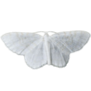 tumblr-8106d9b0def357d0b4cd2e9c03911a0e-1bcad545-250