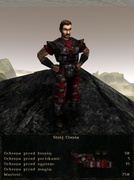 pancerze i ubrania (28)