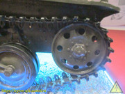 IMG-7246