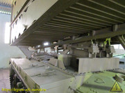 IMG-8611