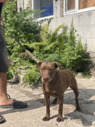 IMG_20230706_160458_078