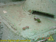 DSCN7035