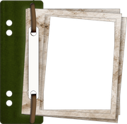 BVS naturepower frame02