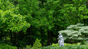 DSC00024