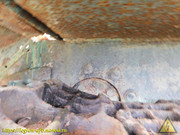 DSCN5271