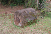 DSC-0764-Copy