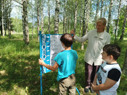 IMG-20230714-132456