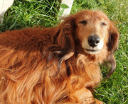 [Image: 20200610-222138.jpg]