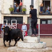 IMG-0026