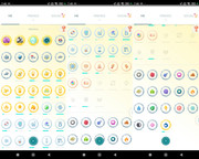 Polish 20260330 074655110