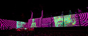 IMG-009
