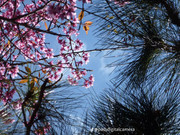 photo 17 2025 12 12 15 26 37