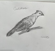 Bipolar Check-in #88 (again!)