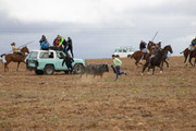 IMG-0056