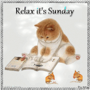376085-Reading-Kitty-Sunday-Relaxation-Gif
