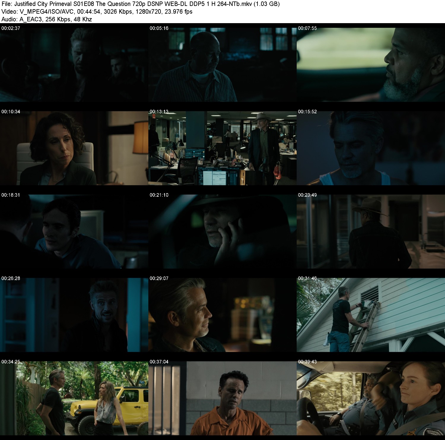 [Image: 9byaq33hj5ub.jpg]