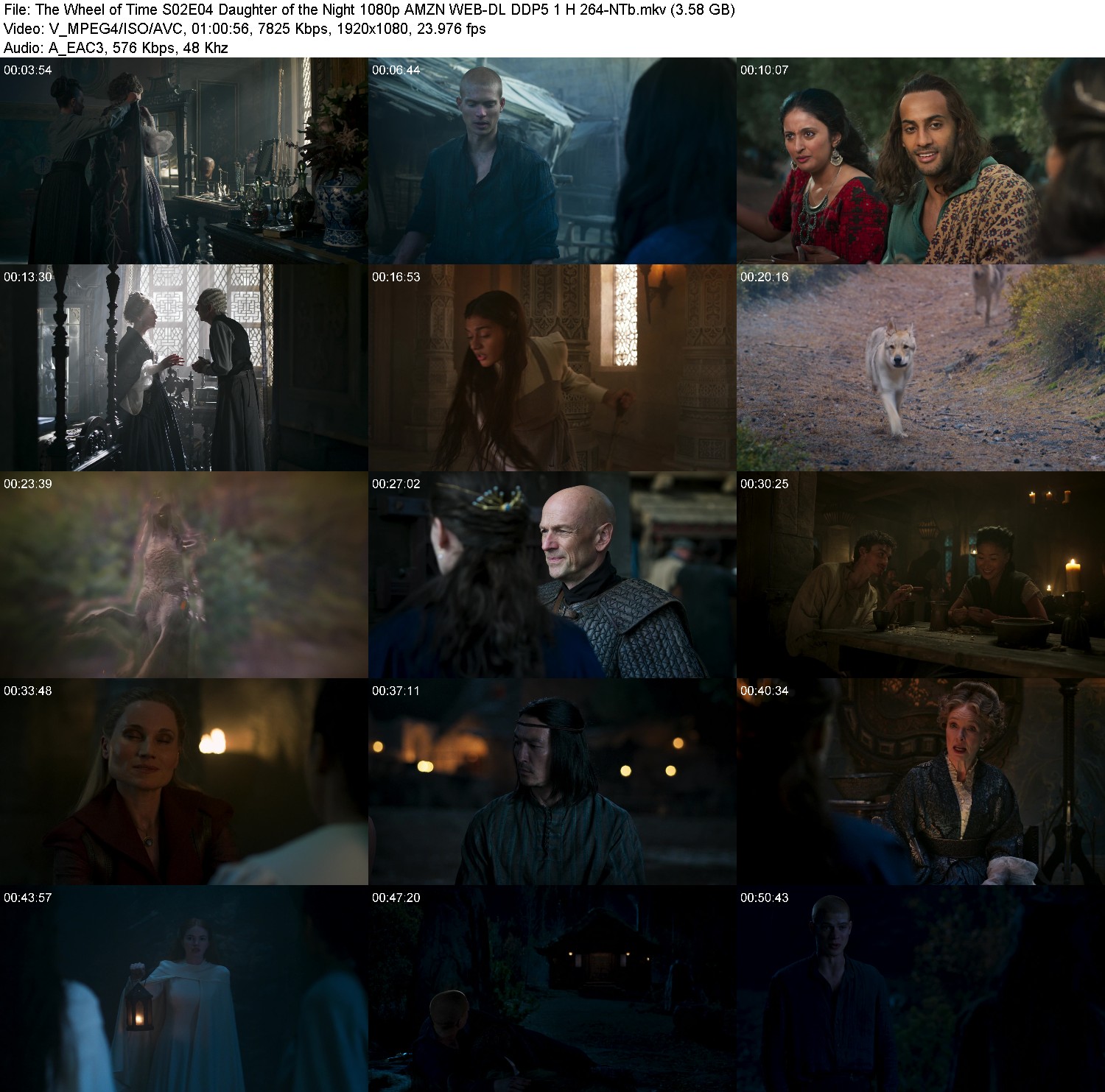 [Image: 7ny03iivhjo3.jpg]