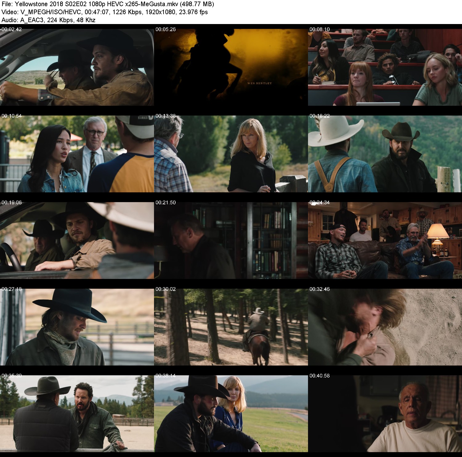 [Image: drvj9n94e9aw.jpg]