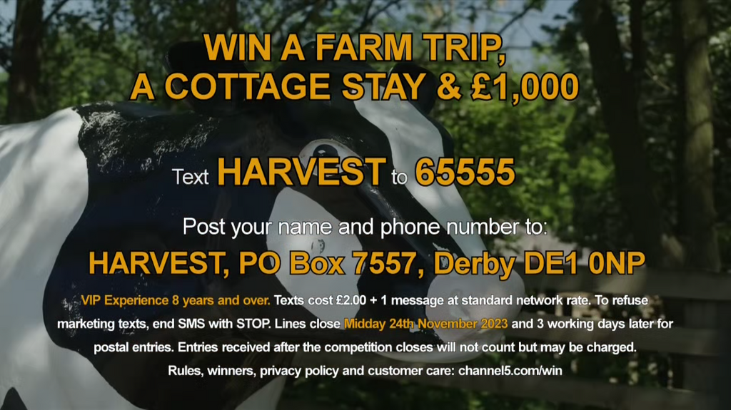 [Image: tt94ox2jyl1c.png]