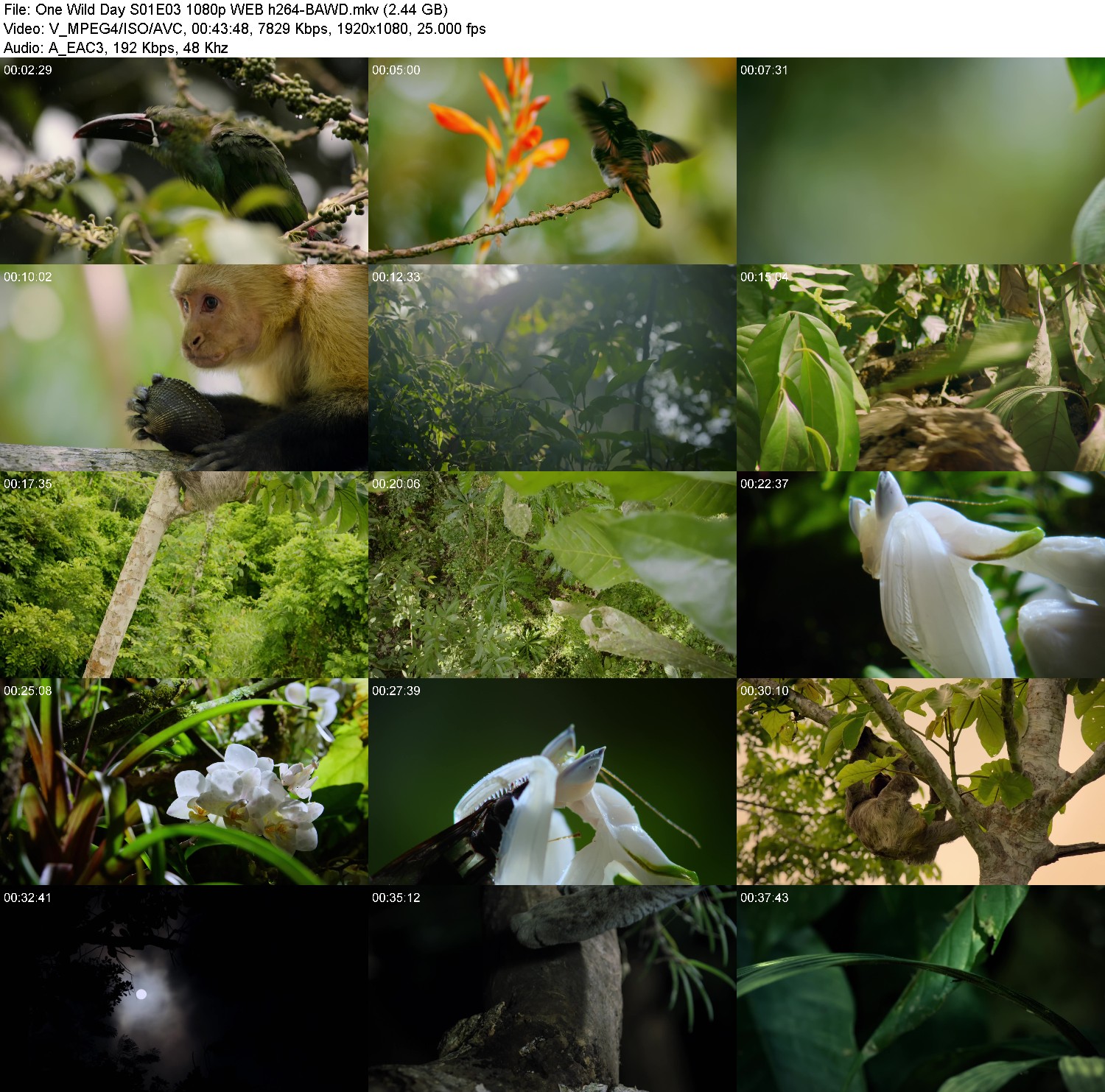 [Image: 8bk32kdpup2h.jpg]