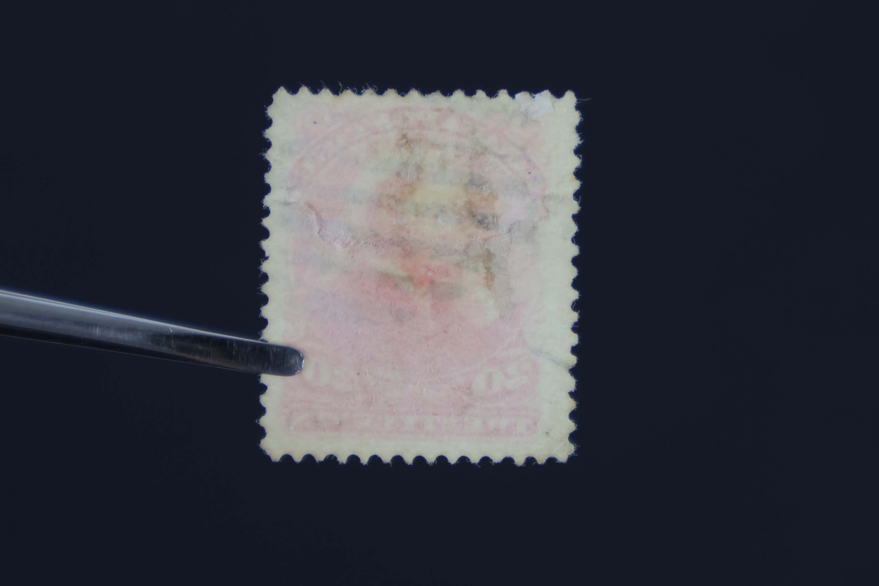 IMG-2771