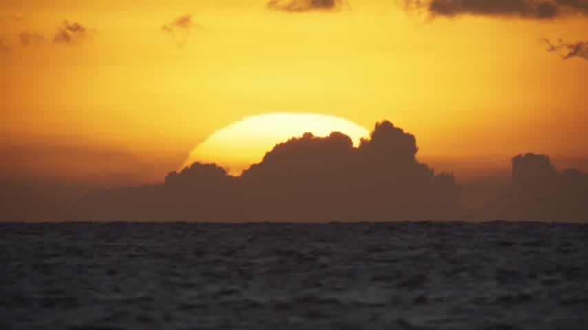 [Image: 21qscp5by5pz.jpg]