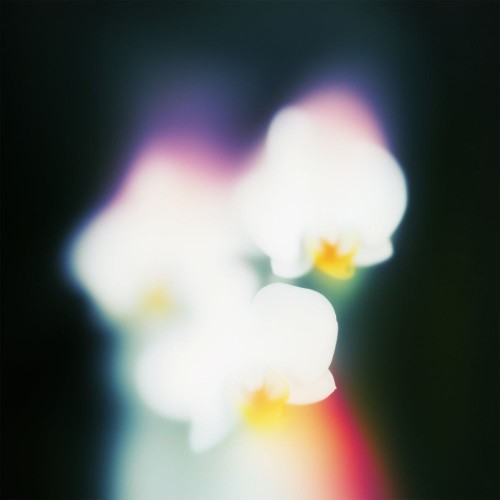 Ivory (IT) - Bringing Me Joy (2026) MP3