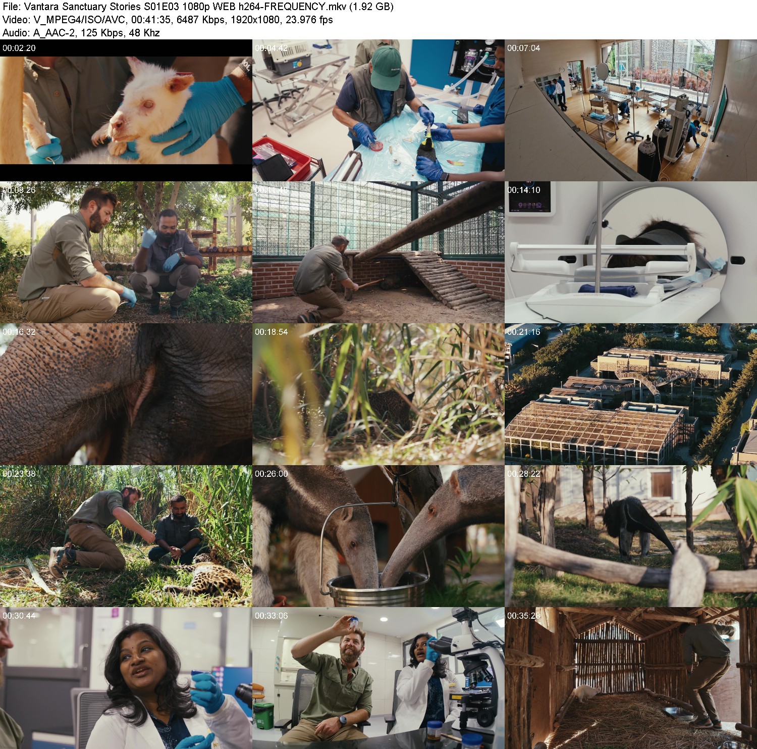 [Image: x63t8iyrn6ku.jpg]