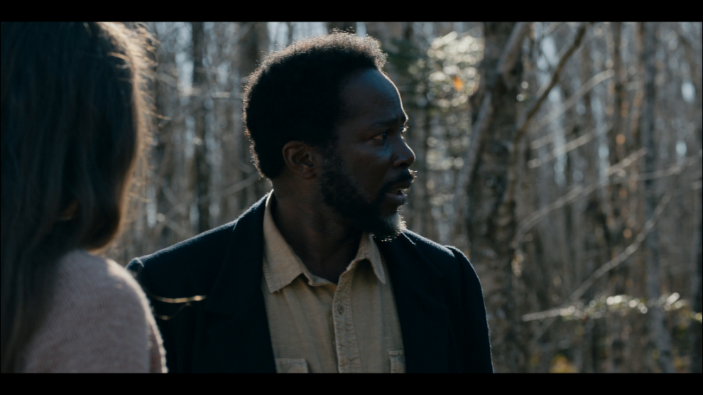 [Image: 0yh64wt6ofvl.png]