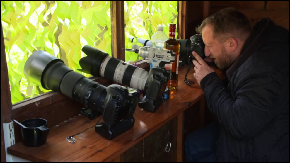 [Image: p9qg3vi7or0q.png]